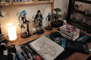 Culture otaku : manga, jeux vidéo, création et lifestyle japonais